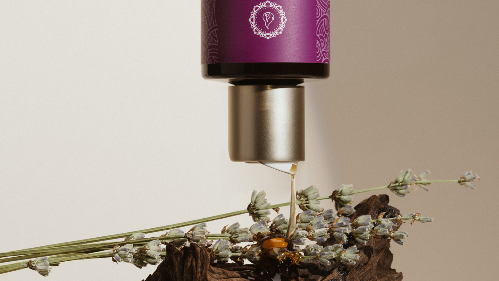 Bir qismli suzish kostyumi porno video Porno yirtqich hayvonlar