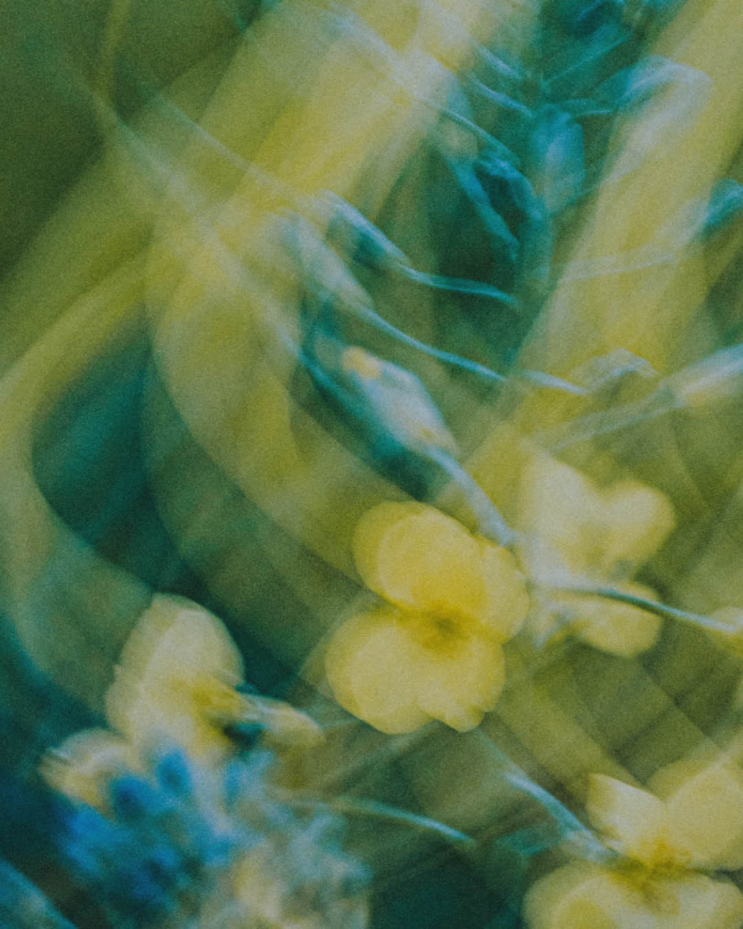 Image 59586943287639