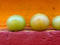 Natural ingredient Amla