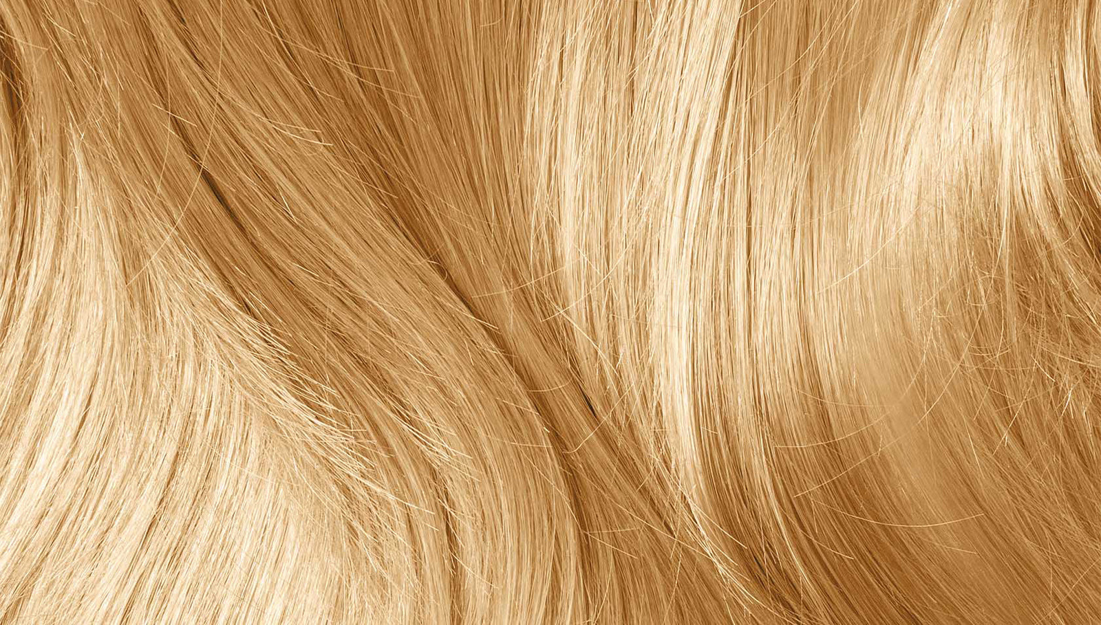 Image of Medium Blonde Hair, plant-based hair color in landscape format by khadi