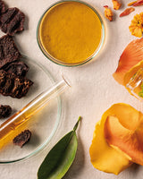 Explore Ayurvedic Ingredients