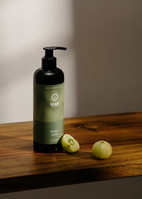 Creative representation of Ayurveda Everyday Indian Amla Hand Soap – Ayurvedic hand care for freshness and purity.