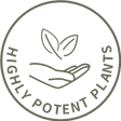 Icon for powerful plants, highlighting khadi’s use of plant-based extracts