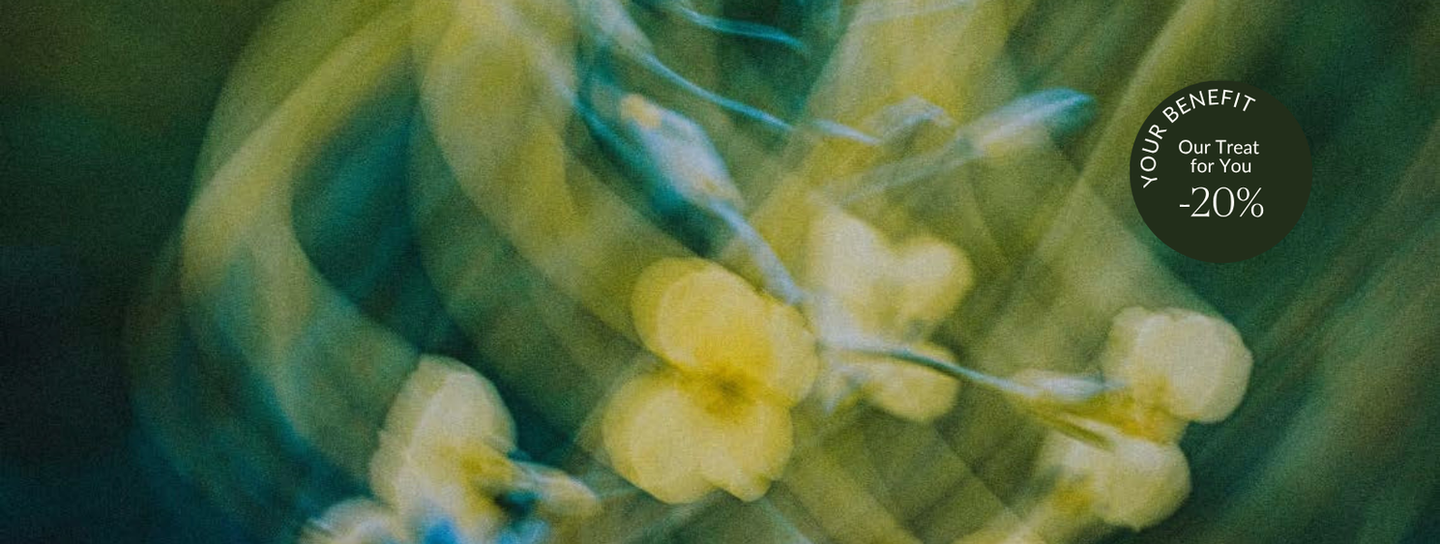 Image 59681407500631