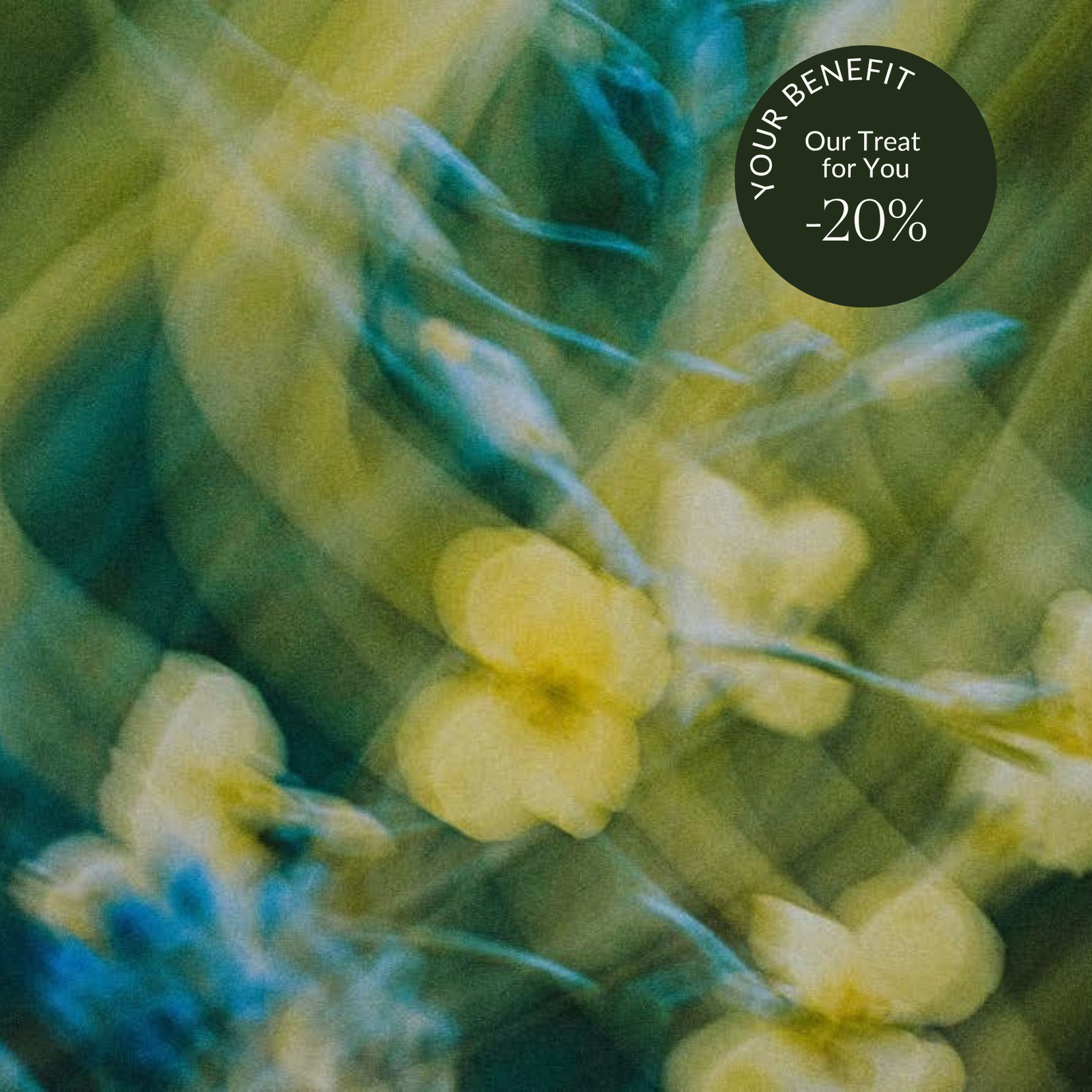 Image 59681425686871