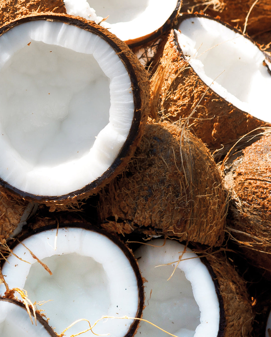 Image of coconut, an ingredient in khadi products