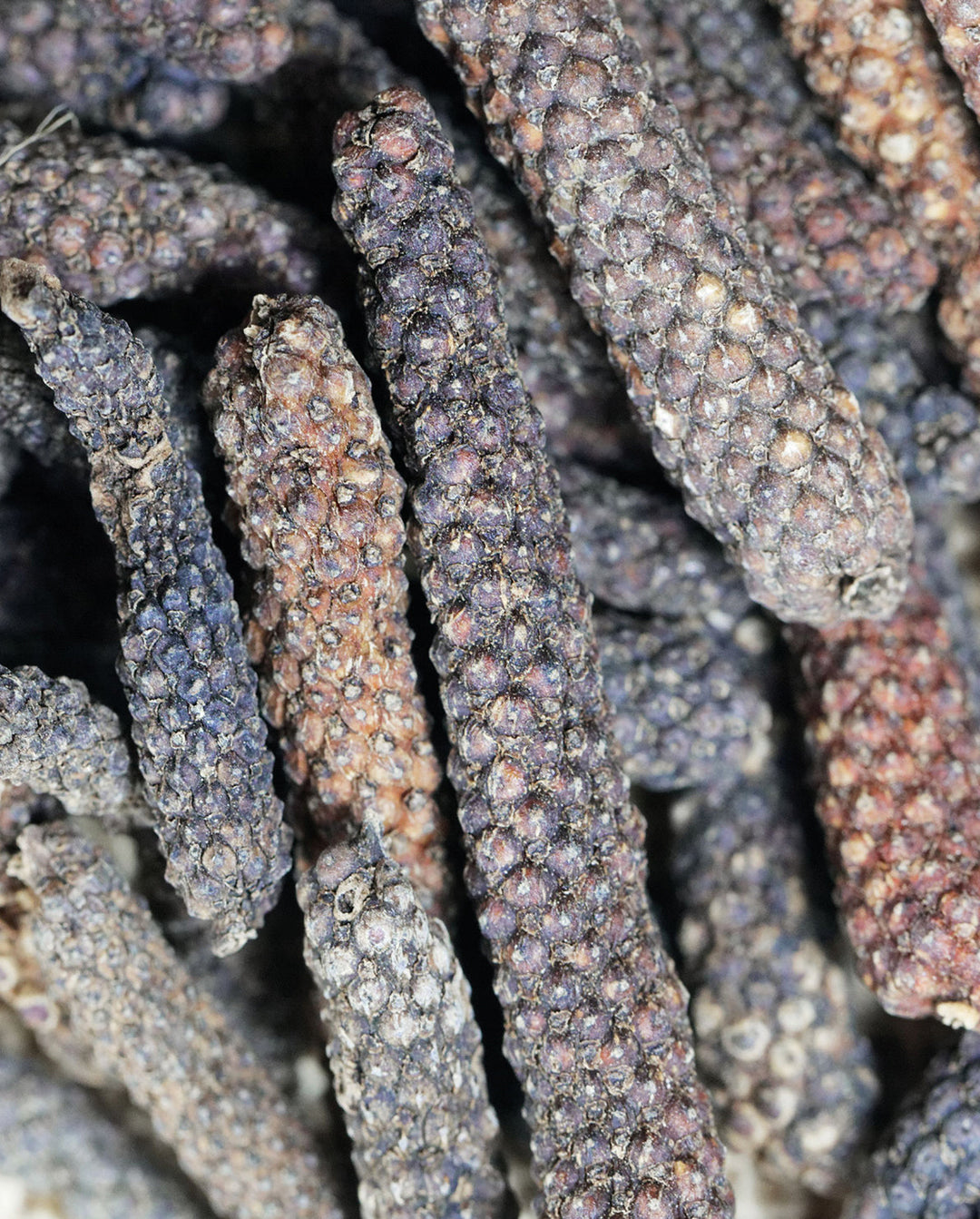 Image of a brush, khadi accessory in use