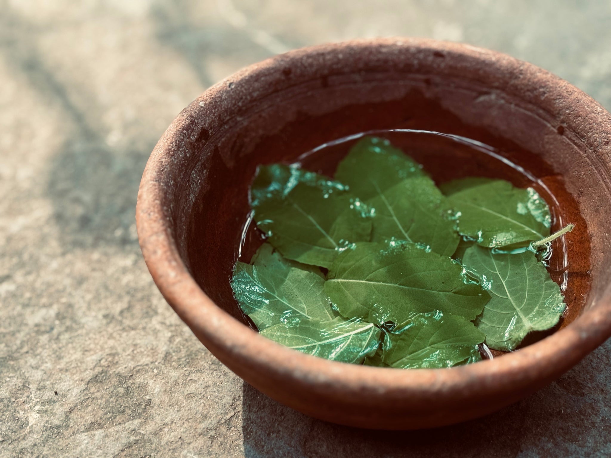 Video of a bowl with herbal leaves as ingredients in khadi products